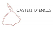 Castell D'Encus